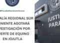 Fiscalía investiga muerte de un caballo atacado por un toro en jaripeo de Jojutla
