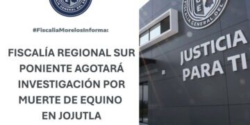 Fiscalía investiga muerte de un caballo atacado por un toro en jaripeo de Jojutla