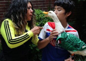 Pato Merlín registro IMPI