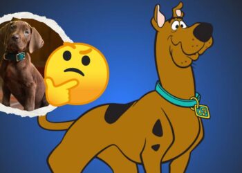 Scooby-Doo en Netflix