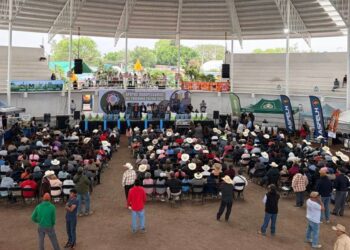 Yecapixtla (1)